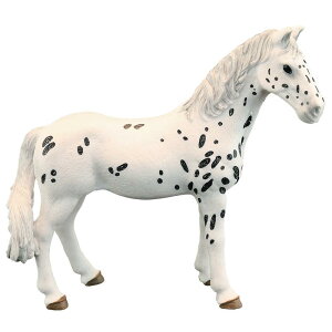 n z[X tBMA l` zr[  ͌^ V~[V  A RNV fBXvC ~j`A q |j[  v[g