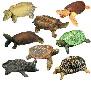 ^[g J tBMA l` zr[  ͌^ V~[V  A RNV fBXvC ~j`A q Mtg i 