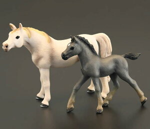 |j[ tBMA l` zr[  ͌^ V~[V  A RNV fBXvC ~j`A q n Mtg  z[X