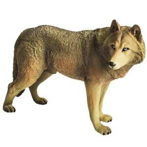 IIJ~ Et tBMA l` zr[  ͌^ V~[V  A RNV fBXvC ~j`A vX`bN q Mtg