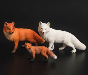 Lcl tBMA l` zr[  ͌^ V~[V  A RNV fBXvC ~j`A vX`bN  q  Mtg