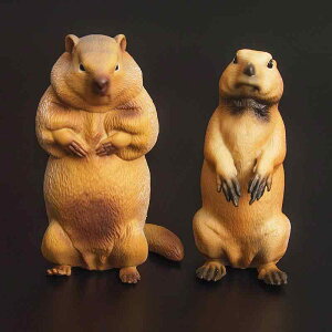 v[[hbO }[bg tBMA l` zr[  ͌^ V~[V  A RNV fBXvC ~j`A ͋[ q Mtg