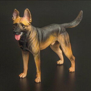 Aj} tBMA l` zr[  ͌^ V~[V  A RNV fBXvC ~j`A ͋[ q Mtg i  hbO