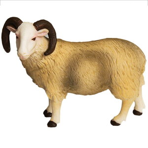 M tBMA l` zr[  ͌^ V~[V  A RNV fBXvC ~j`A q vX`bN ƒ{ Mtg 