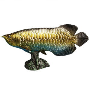 Ai  tBMA l` zr[  ͌^ V~[V  A RNV fBXvC ~j`A ͋[ i  q Mtg