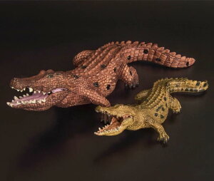 j NR_C tBMA l` zr[  ͌^ V~[V  A RNV fBXvC ~j`A q Mtg vX`bN