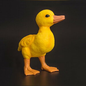 Aq tBMA l` zr[  ͌^ V~[V  A RNV fBXvC ~j`A ͋[ q Mtg F  킢