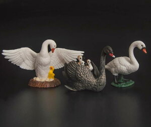 tBMA l` zr[  ͌^ V~[V  A RNV fBXvC ~j`A ͋[  q Mtg  CeA