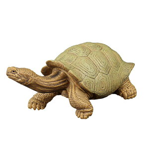 J tBMA l` zr[  ͌^ V~[V  A RNV fBXvC ~j`A q i Mtg  ^[g