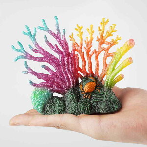 TS tBMA l` zr[  ͌^ V~[V A RNV fBXvC ~j`A ͋[ A  IuWF ANZT[