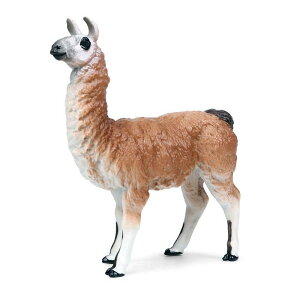 ApJ tBMA l` zr[  ͌^ V~[V  A RNV fBXvC ~j`A q vX`bN  v[g