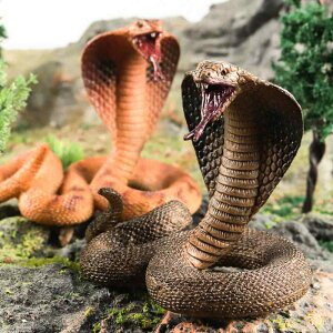 Ru wr tBMA l` zr[  ͌^ V~[V  A RNV fBXvC ~j`A q   Mtg