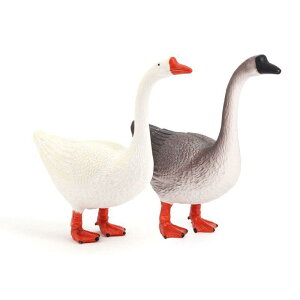 K`E tBMA l` zr[  ͌^ V~[V  A RNV fBXvC ~j`A q   v[g t@[