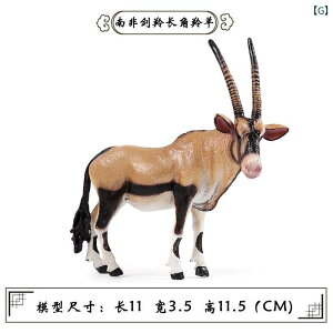 CI Aj} tBMA l` zr[  ͌^ V~[V  A RNV fBXvC ~j`A ͋[ q  Mtg
