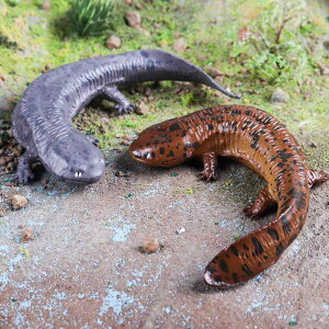 TVEEI R tBMA l` zr[  ͌^ V~[V  A RNV fBXvC ~j`A ͋[ q i