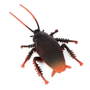 SLu tBMA l` zr[  ͌^ V~[V  A RNV fBXvC ~j`A  q vX`bN 