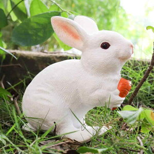 ETM RA L tBMA l` zr[  ͌^ V~[V  A RNV fBXvC ~j`A \tg Mtg q 