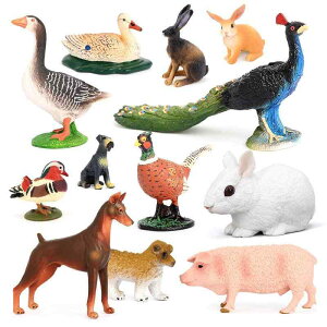 E LW K`E Aq ETM  tBMA l` zr[  ͌^ Mtg  A RNV fBXvC ~j`A q i