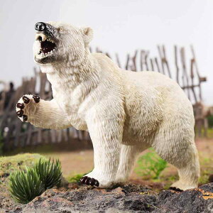 VN} xA tBMA l` zr[  ͌^ V~[V  A RNV fBXvC ~j`A q ͋[  Mtg 傫