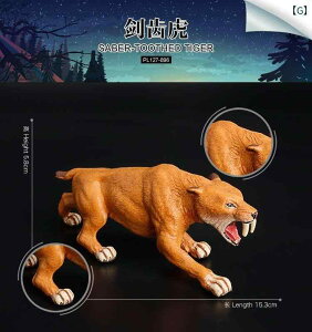 T[x^CK[ }X Ð tBMA l` zr[  ͌^ V~[V  A RNV fBXvC ~j`A ͋[ i