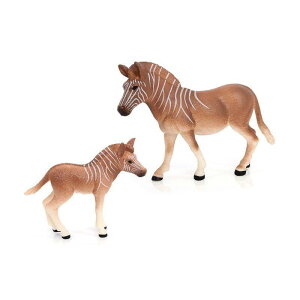 Aj} tBMA l` zr[  ͌^ V~[V  A RNV fBXvC ~j`A q o NAb K i 