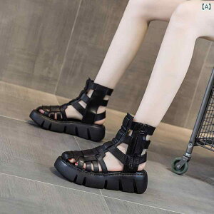 V[gu[c fB[X  \ V[Y TChWbv  킢 ꂢ 킹₷ ₷ Abv T}[ Cxg tFX W[ AEghA p[eB[ f[