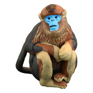 S[fL[ T tBMA Aj}  RNV q V~[V   v[g i 킢 A zr[ l`