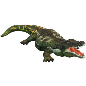 j ঒ AQ[^[ NR_C tBMA RNV ~j`A l` zr[ q V~[V   v[g i A