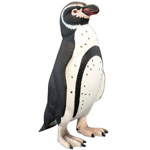 yM tBMA RNV ~j`A l` zr[ fBXvC q V~[V  v[g  ͋[ A 