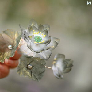 wAs wANbv   @ n  TChwA a fUC R[f Cxg Ղ x _X   NVbN _