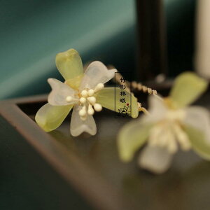 񂴂  wAs g wAs Vv _  v㐻 Vv  wAs    