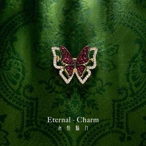 u[` w Ǝ Zj[    \ RT[W t@bV ANZT[ Vv ؂₩  o^tC p[v