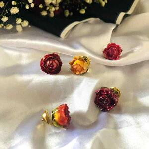 �u���[�` ���f�B�[�X �o�� ���[�Y ���I �Z�����j�[ ������ �A�N�Z�T���[ �W���G���[ ��̓� �M�t�g ���w�� ���Ǝ� �G���K���g ��i �������