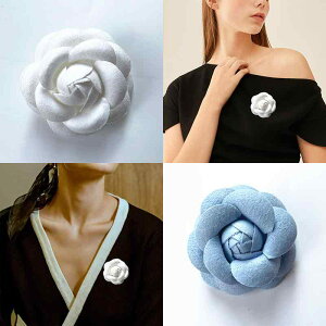 u[` fB[X ̓ Mtg w Ǝ RT[W Zj[  ANZT[ I GKg i 