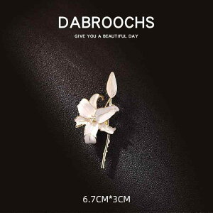 �u���[�` ���f�B�[�X �J�����A ���� �Z�����j�[ ������ �A�N�Z�T���[ �W���G���[ ��̓� �M�t�g ���w�� ���Ǝ� ���i�� ���I �G���K���g ��i �������