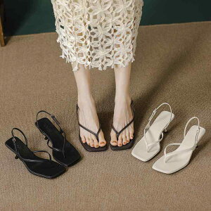 fB[X V[Y  ؍ Vv nCq[ r[`T_ C obN Xgbv XNGAgD I[vgD obN Xgbv T_ ^b`obN