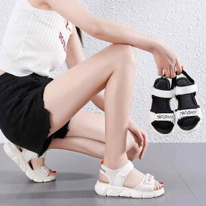 fB[X T_ T}[ V[Y ~ y ؂ JWA X|[c AEghA  Oo   w