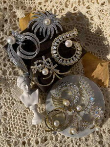 u[`  Ǝ w Zj[ fB[X 蕨 nCGh W p[ 􉽊wI RT[W  傫 s nCGh