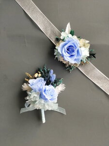 RT[W Ǝ w Zj[ fB[X  i o p  t[ { EFfBO