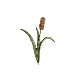 u[`  GKg {^jJ hbO e[ OX 傫 [t s Z[^[ J[fBK R[g RT[W  ANZT[ } ̎}