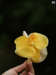 fB[X Nbv oXNbv s ANZT[ Ԃт t[ `Ci K[[  i lۂ 킢 GKg X^CbV t@bV NVbN 