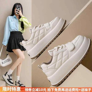 jO V[Y JWA LeBO 킢 V[Y fB[X t ؍ w Xg[g Xj[J[ fB[X C