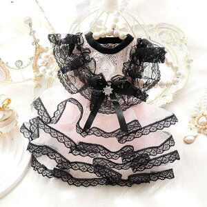  ybg t  L vZX hX sN [X ^  efB rV ybg s[X t@bV ߗ