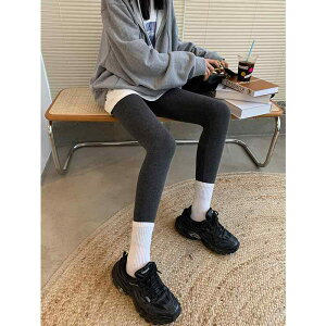 }^jeB MX tH 傫TCY yV pc JWA pc fB[X  T|[g