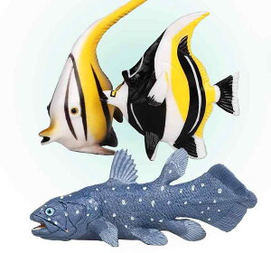 tBMA   C Mы ߋ q C ÓI v[g vX`bN LbY Cm G[tBbV XsAe[