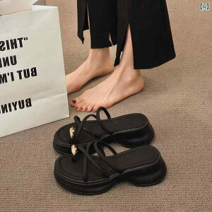 T_ Xbp  fB[X V[Y t@bV Vv JWA W[ ʋ ʊw fC[ }`V[ 