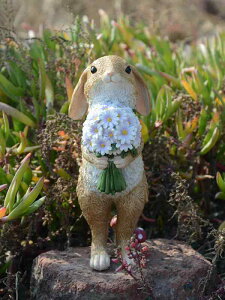 킢 u ETM I[ig 킢 u   nEX  a v[g ₵ fXNgbv l` EFJ{[h