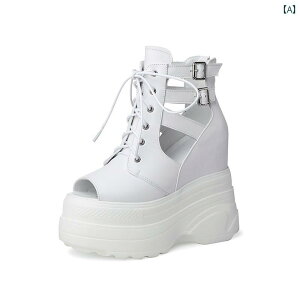 fB[X  ҂ݏグV[gu[c \ V[Y  킢 ꂢ 킹₷ ₷ Abv ʊw ʋ d Cxg tFX W[ AEghA p[eB[ f