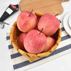 Hi Tv A { Be  fBXvC i tFCN ͋[ nCGh S Abv t[c ʕ