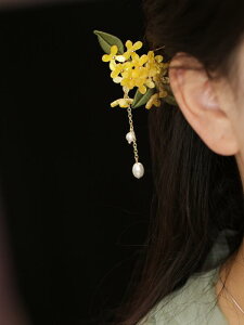 񂴂  wA ANZT[ V[Y ؕ cCXg t[ wAs Vv _ LNZC  ̎q K[Y